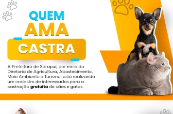 Castração gratuita de cães e gatos