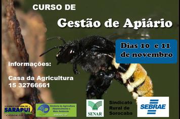 CURSO DE GESTÃO DE APIÁRIO – SARAPUÍ