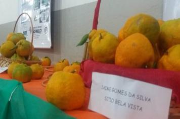 Diretoria da Agricultura promove encontro Técnico de Citricultura