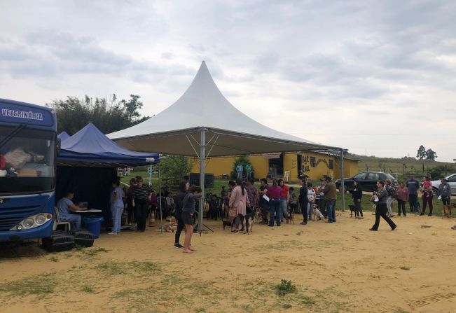 CASTRAÇÃO GRATUITA DE CÃES E GATOS - VÁRZEA DE BAIXO