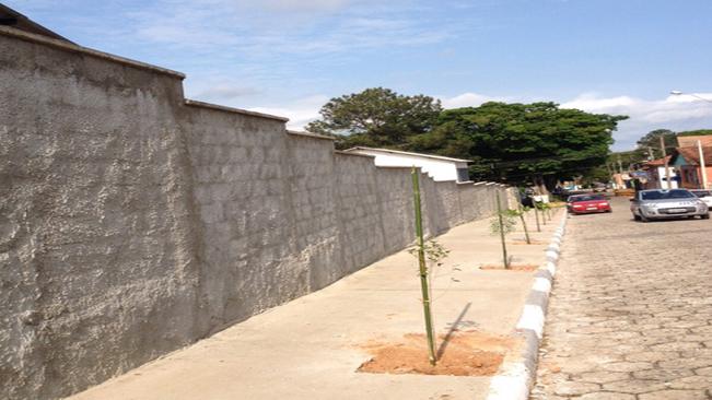 ARBORIZAÇÃO URBANA