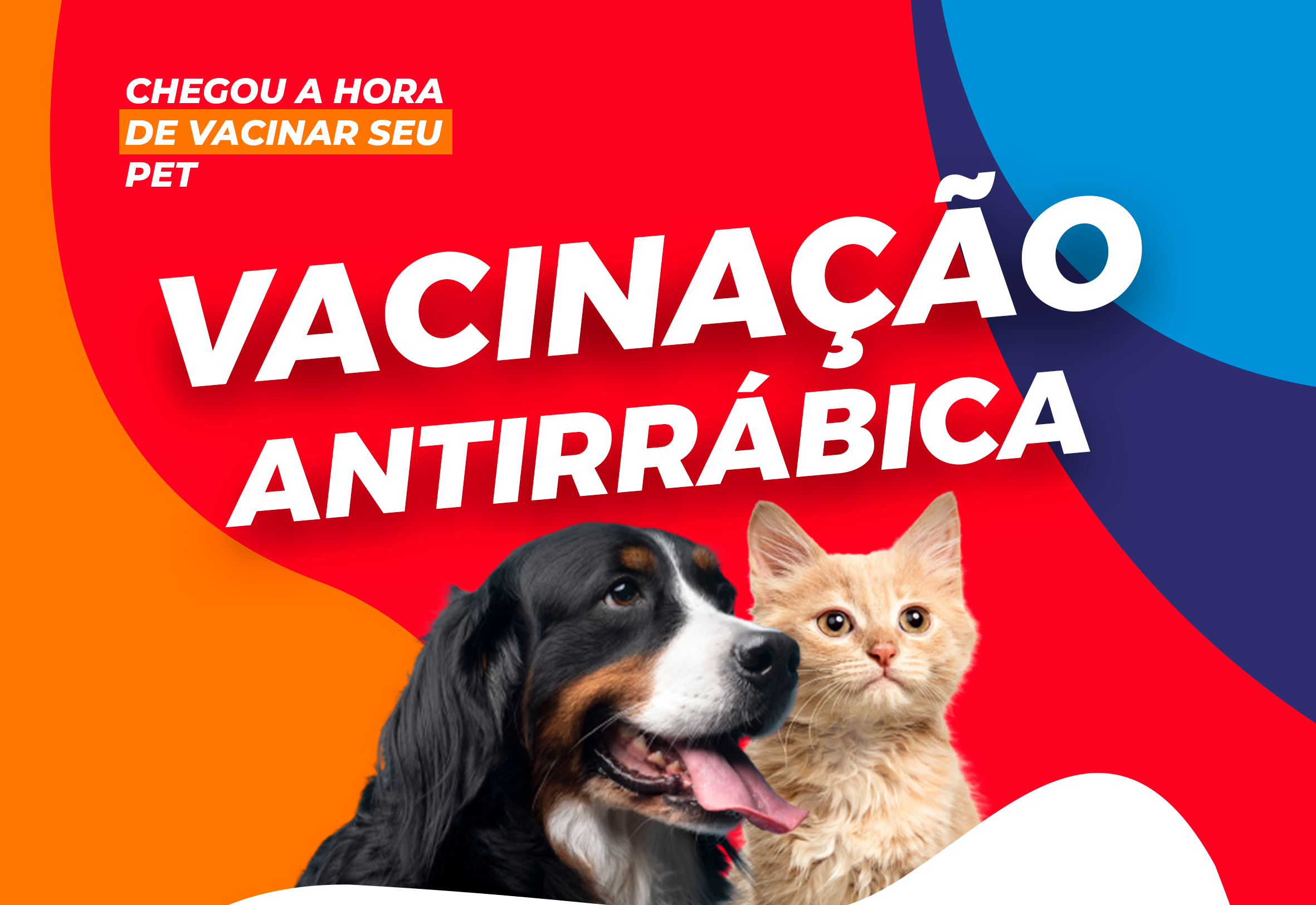 Vacinação antirrábica