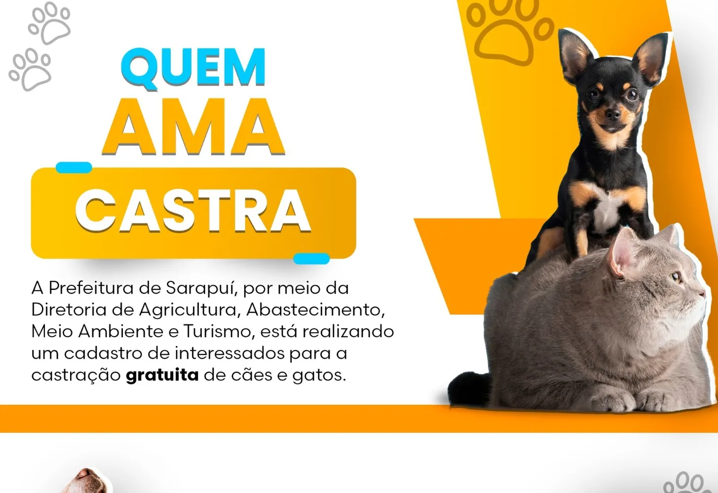 Castração gratuita de cães e gatos