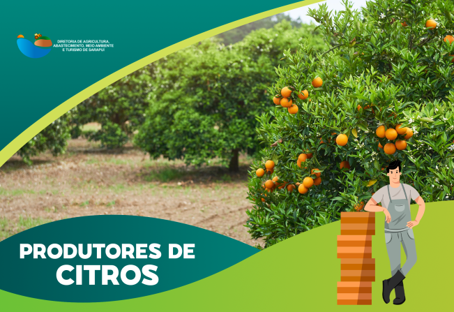 RELATÓRIO CANCRO/GREENING