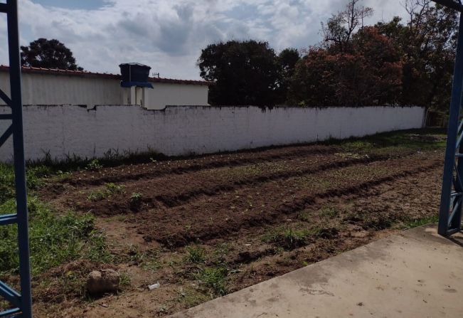 HORTA COMUNITÁRIA - BAIRRO RODEIO